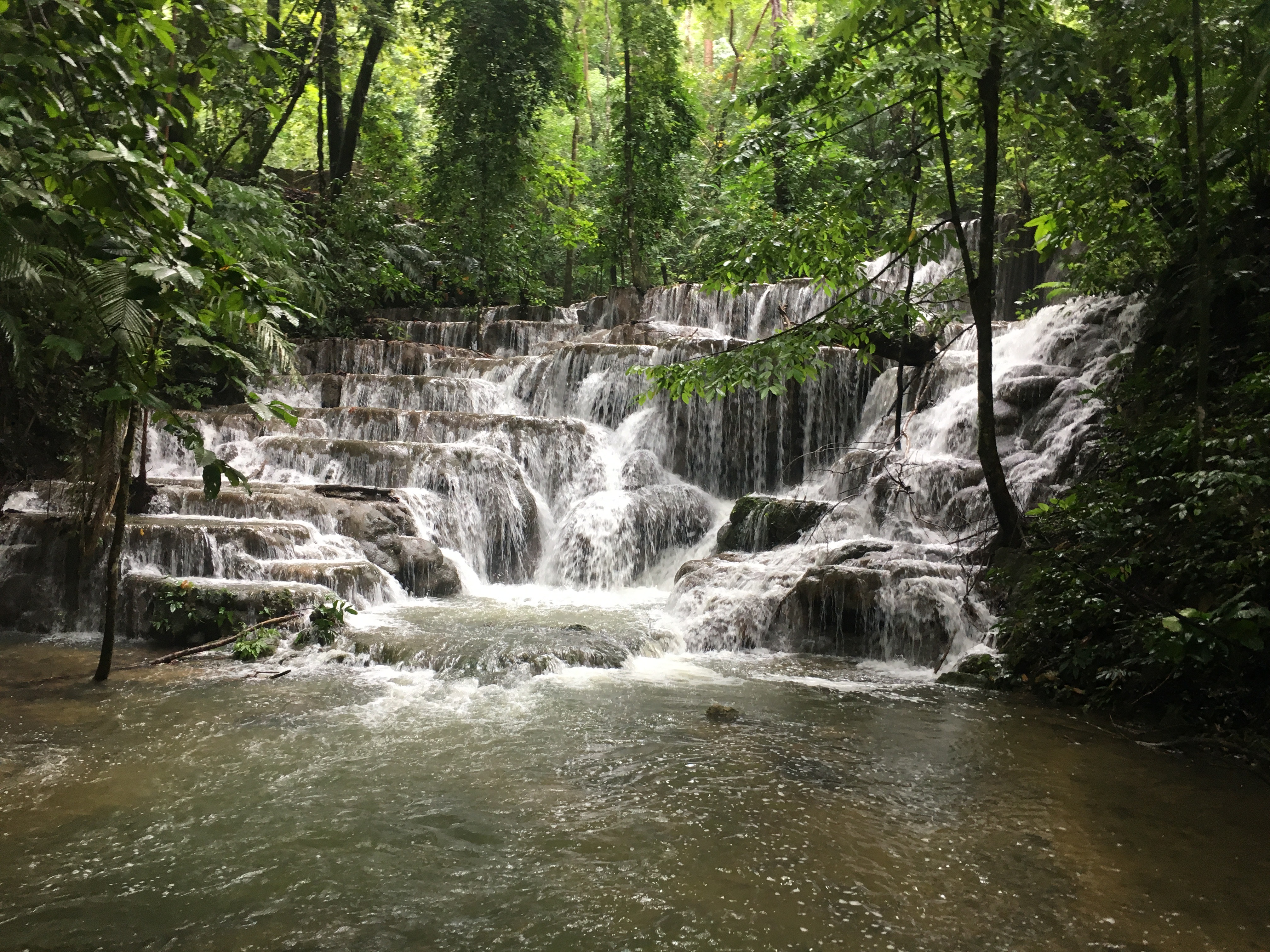Jungle walk Palenque Ruins