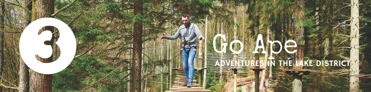 Go Ape in the Lake District