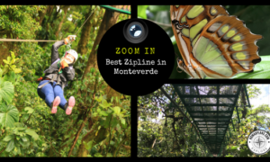 Best Zipline in Monteverde